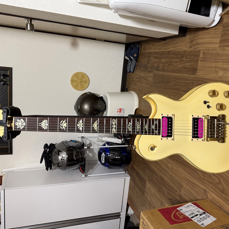 Aria ProII PE-R80KVの画像